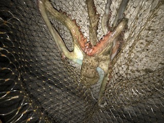 image1.jpeg