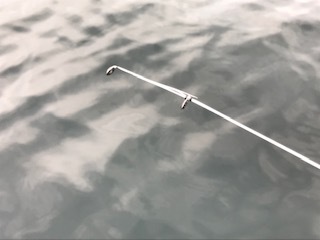 image4.jpeg