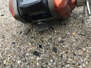 image6.jpeg